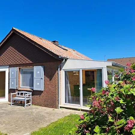 Gaensebluemchen * Friedrichskoog